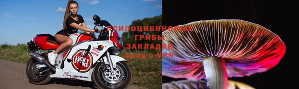 трава Уссурийск