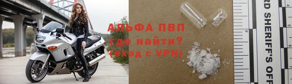 ECSTASY Богданович