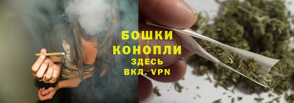 ECSTASY Богданович