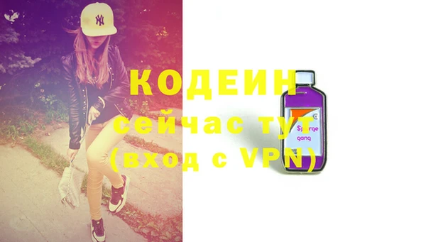 ECSTASY Богданович