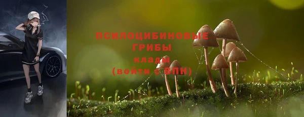эйфоретик Богородицк