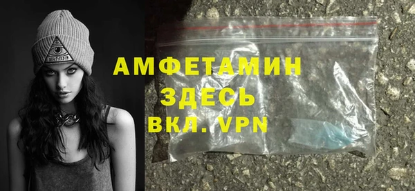 ECSTASY Богданович