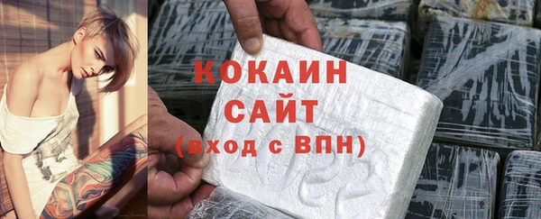 ECSTASY Богданович