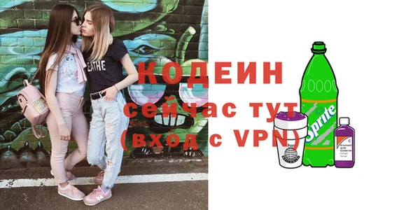 ECSTASY Богданович