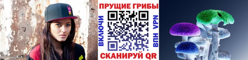дарнет шоп  мега ССЫЛКА  Псилоцибиновые грибы MAGIC MUSHROOMS  Каменск-Уральский 